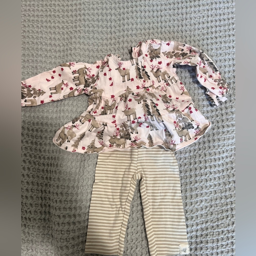 Burt’s bees baby reindeer holiday outfit

Smoke free home